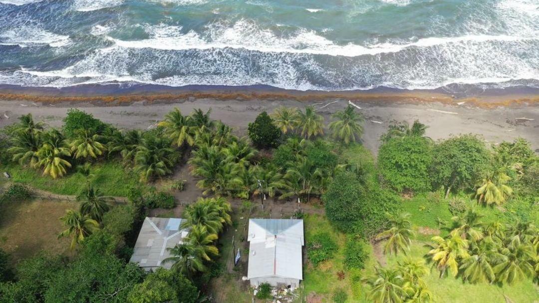 Отель Casa Turtle Bogue Тортугеро Экстерьер фото